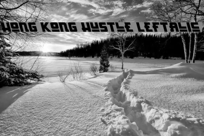 Hong Kong Hustle Leftalic خط examples
