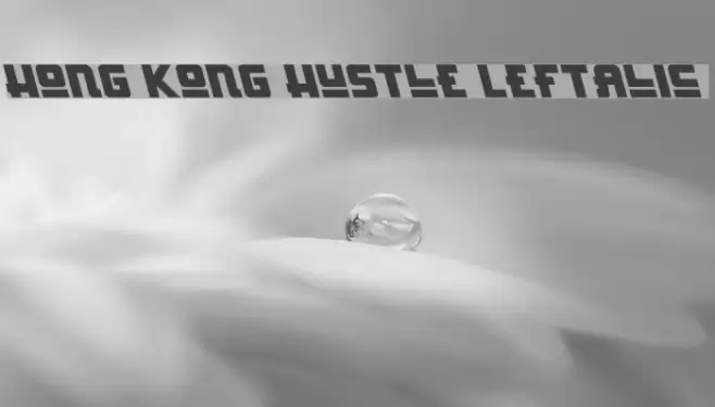 Hong Kong Hustle Leftalic خط examples