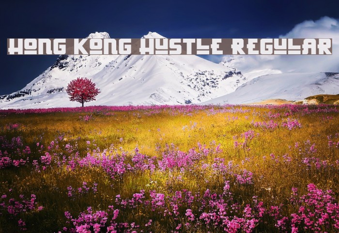 Hong Kong Hustle Regular Example 2