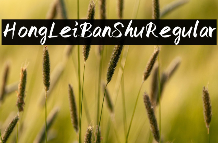 HongLeiBanShu Regular Example 1