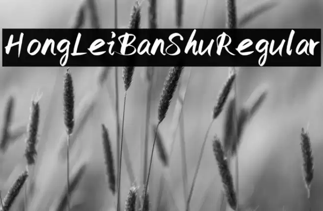 HongLeiBanShu Regular Font examples