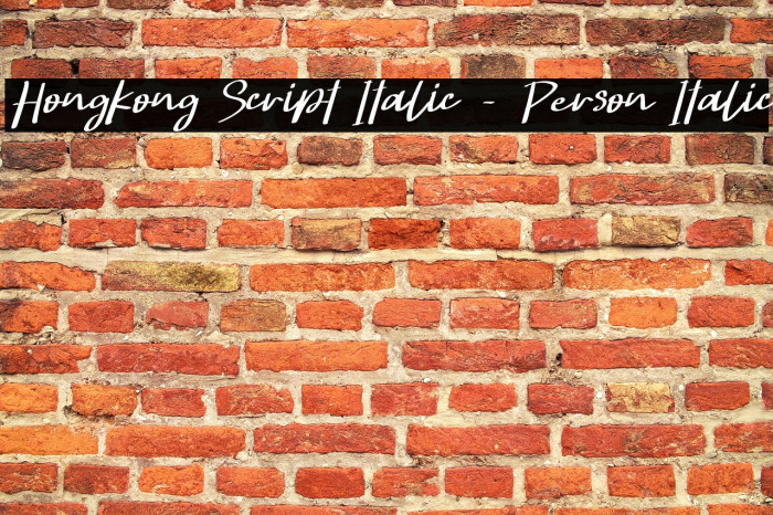 Hongkong Script Italic - Person Italic Example 2