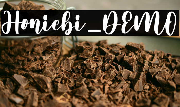 Honiebi_DEMO Example 1