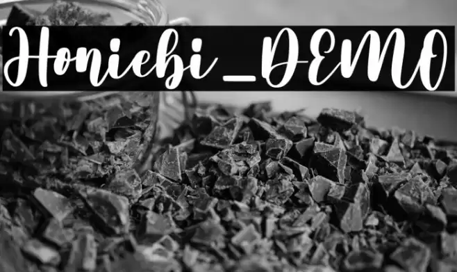 Honiebi_DEMO Font examples
