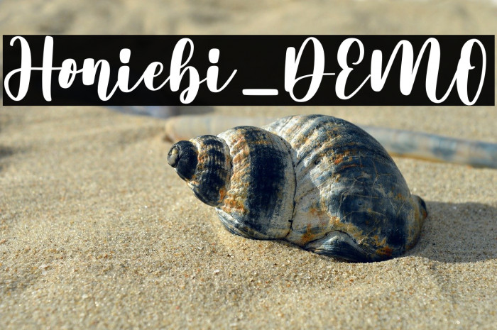 Honiebi_DEMO Example 2