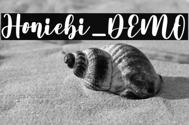 Honiebi_DEMO Font examples