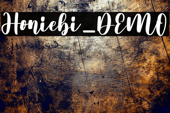 Honiebi_DEMO Example 3