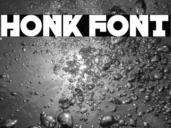 Honk Font examples