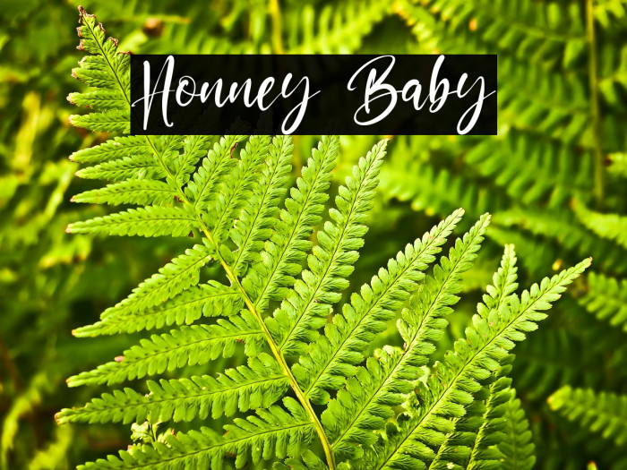 Honney Baby Example 2