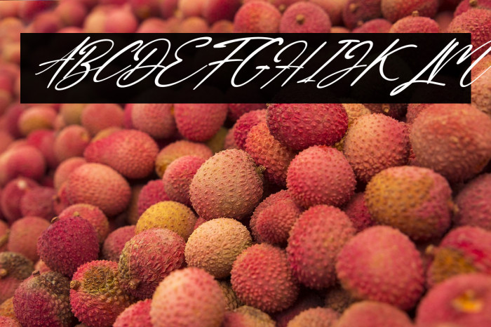 Honney Suggary Italic Example 1