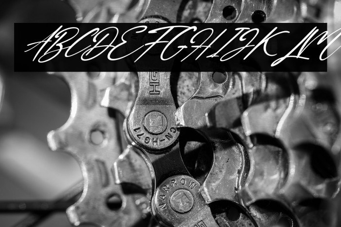 Honney Suggary Italic Example 3