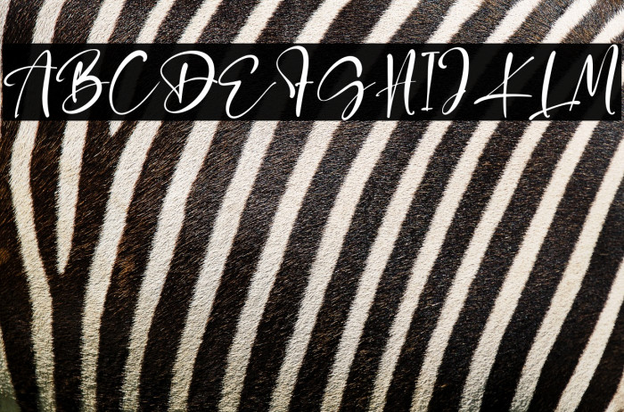 HonneyBaby Example 3