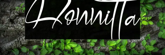 Honnitta Example 2