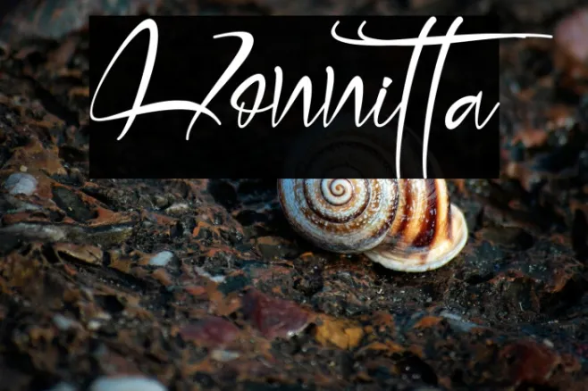 Honnitta Example 3