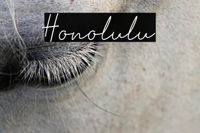 Honolulu Example 1