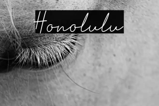 Honolulu Font examples
