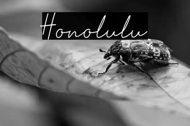Honolulu Font examples