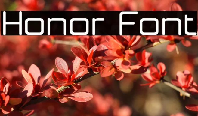 Honor Example 2