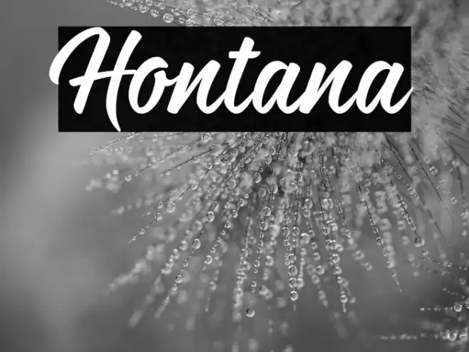 Hontana Font examples