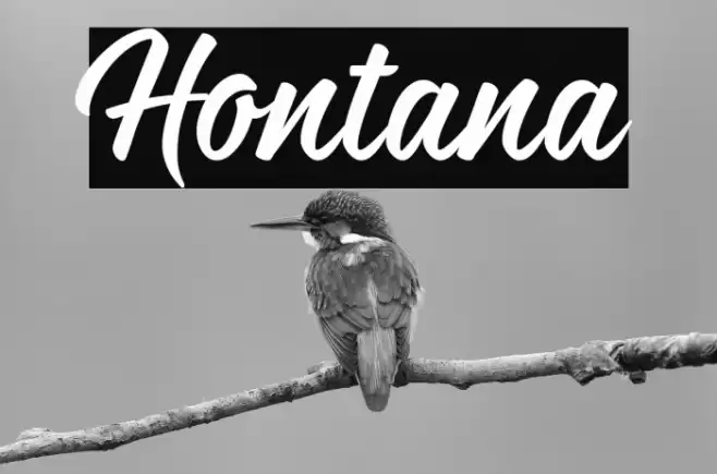 Hontana Font examples
