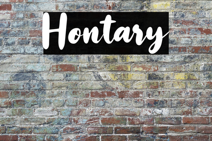 Hontary Example 1