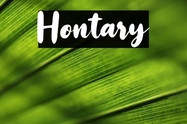 Hontary Example 2