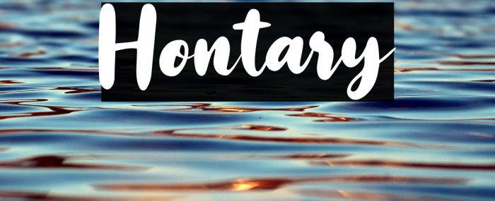 Hontary Example 3