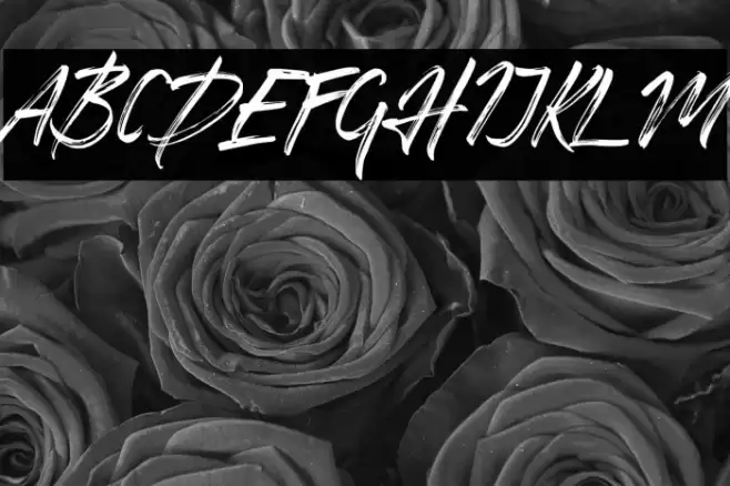 Honuzima Font examples