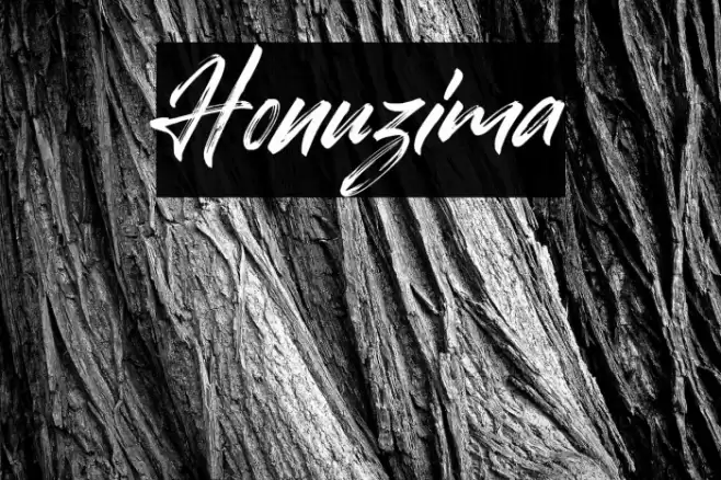 Honuzima Font examples