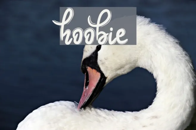Hoobie Example 2