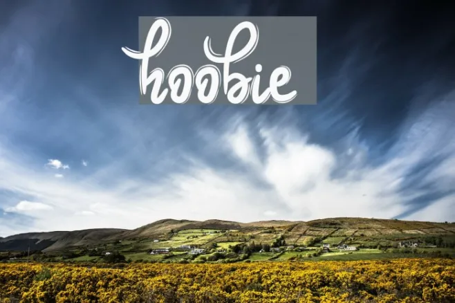 Hoobie Example 3