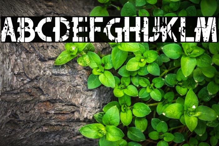 Hood Army Stencil Font examples