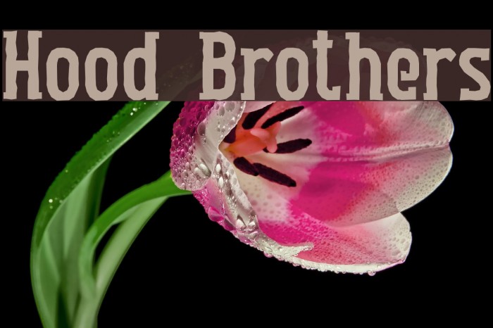 Hood Brothers Font examples