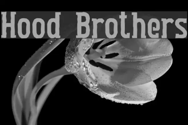 Hood Brothers Font examples