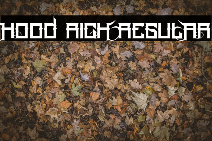 Hood Rich Regular Font examples