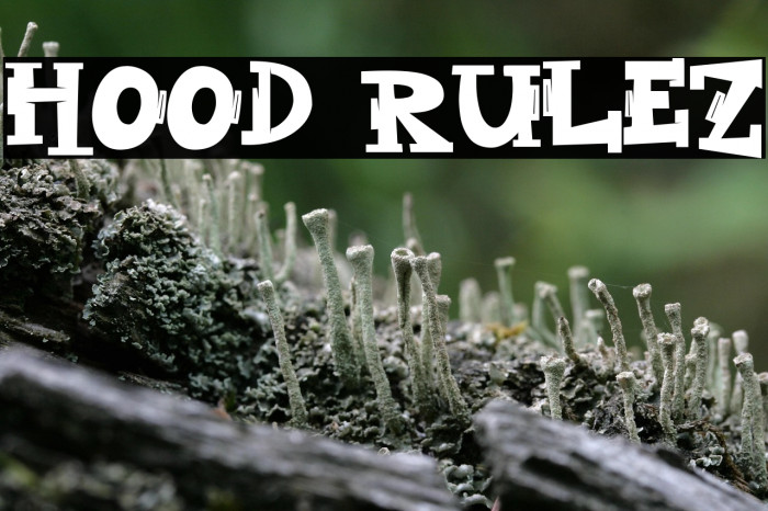 Hood Rulez Example 3