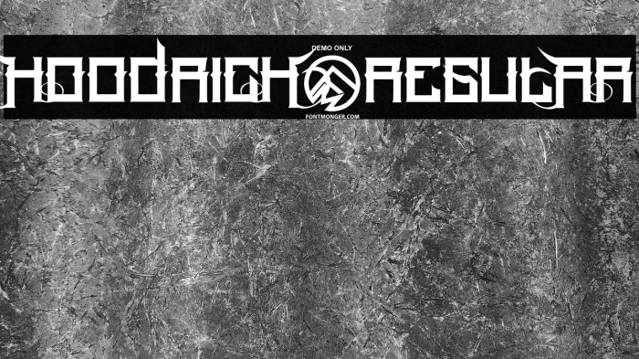 HoodRich-Regular Example 1