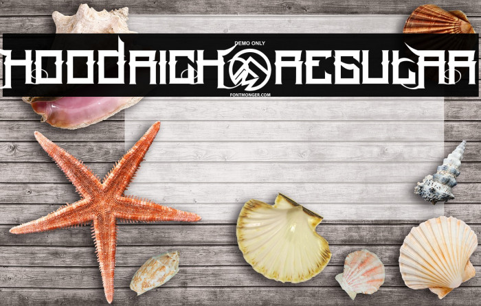 HoodRich-Regular Example 2