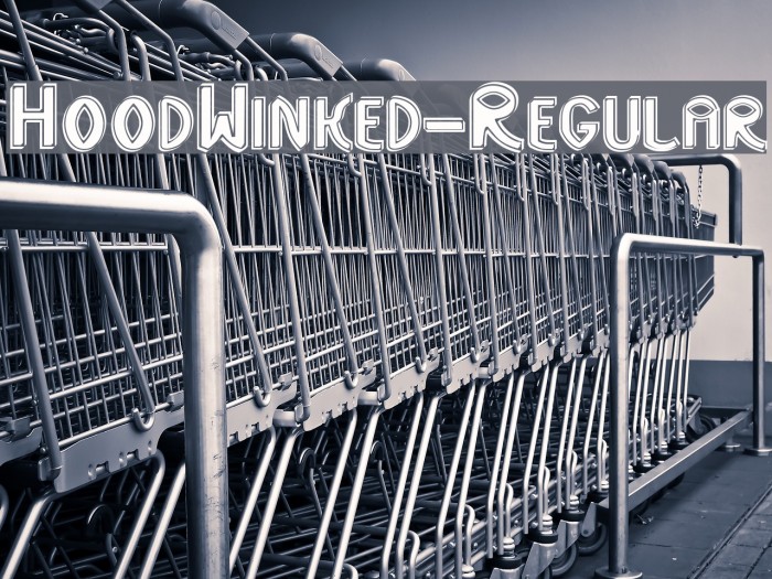 HoodWinked-Regular Font examples