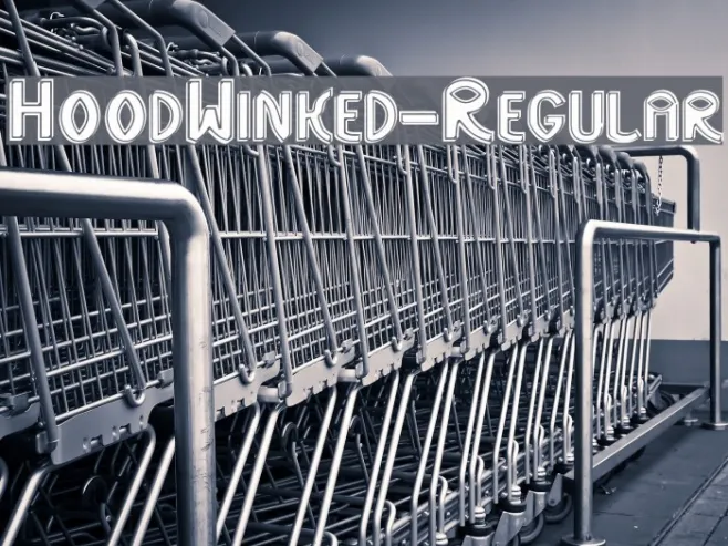HoodWinked-Regular Example 1