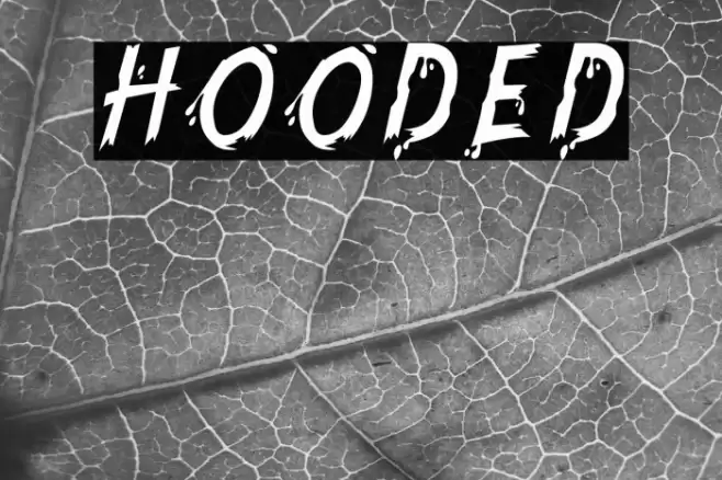 Hooded Font examples