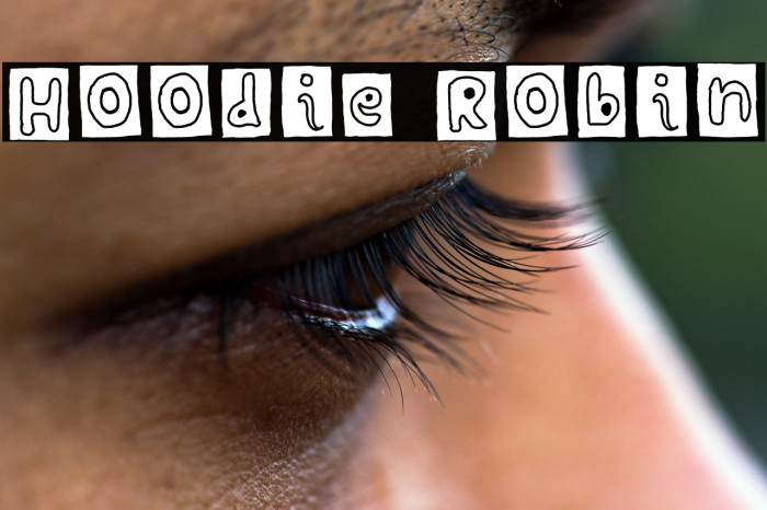Hoodie Robin Example 1