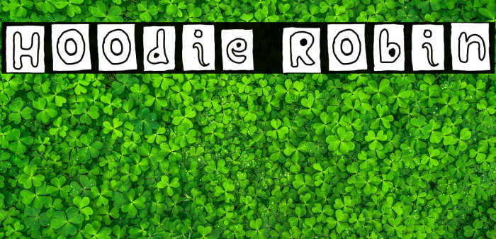 Hoodie Robin Example 2