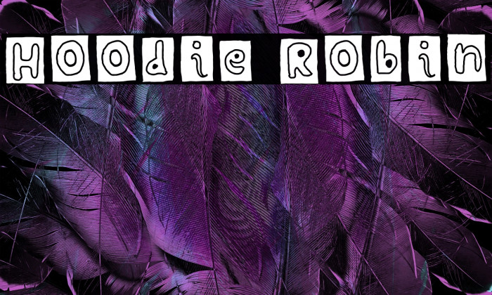 Hoodie Robin Example 3