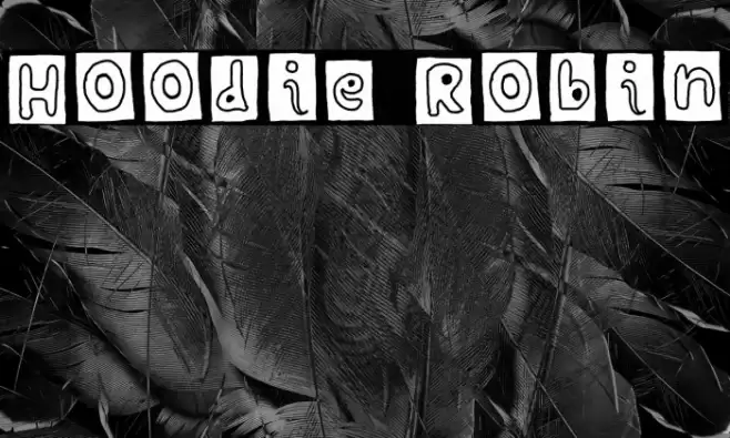 Hoodie Robin Font examples