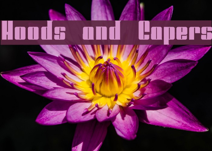 Hoods and Capers Example 1