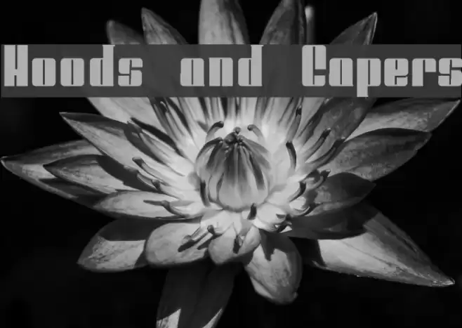 Hoods and Capers Font examples