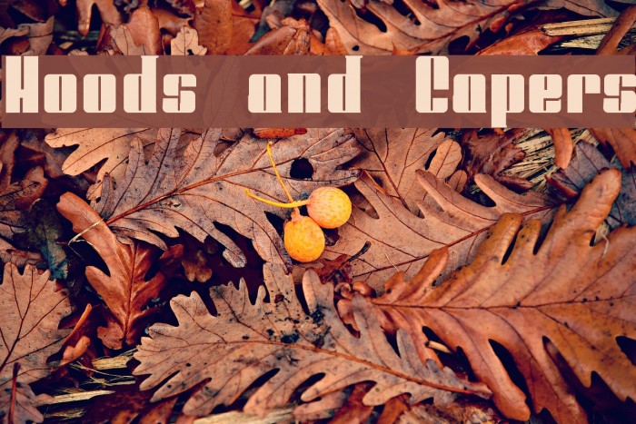 Hoods and Capers Example 2