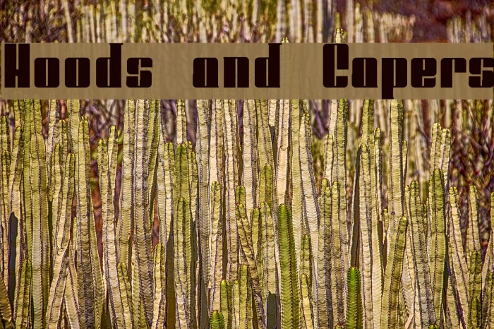 Hoods and Capers Example 3