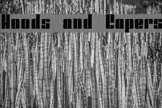 Hoods and Capers Font examples